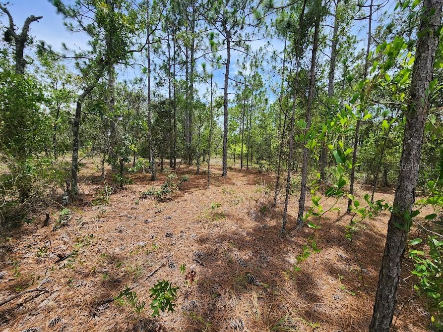 Image 15 of 28 For Lot 14 Indian Hill Drive