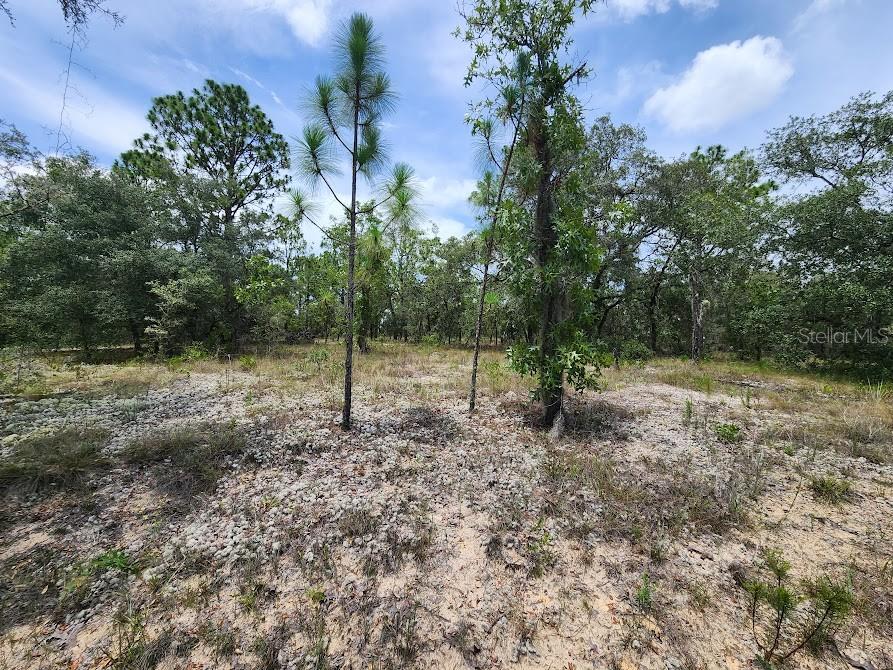 Image 6 of 28 For Lot 14 Indian Hill Drive