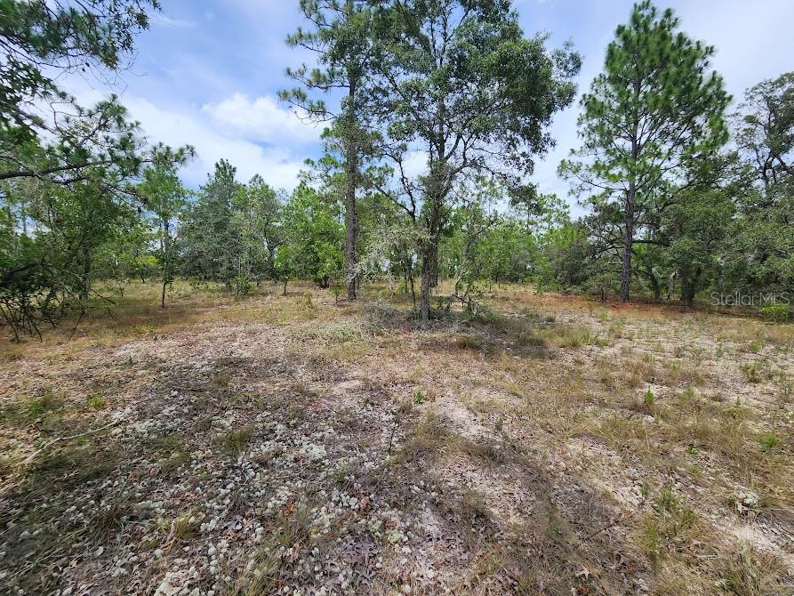Image 8 of 28 For Lot 14 Indian Hill Drive