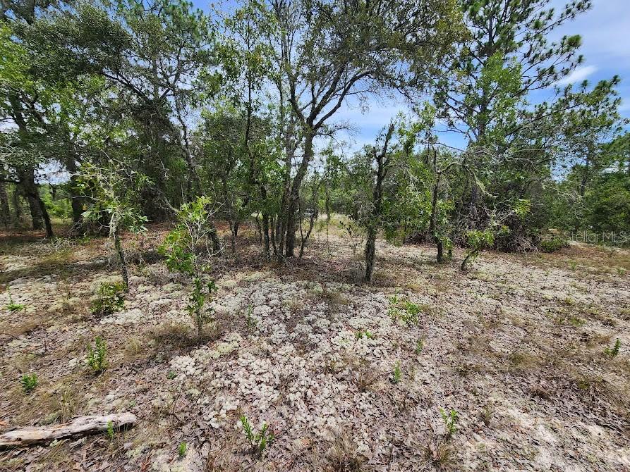Image 9 of 28 For Lot 14 Indian Hill Drive