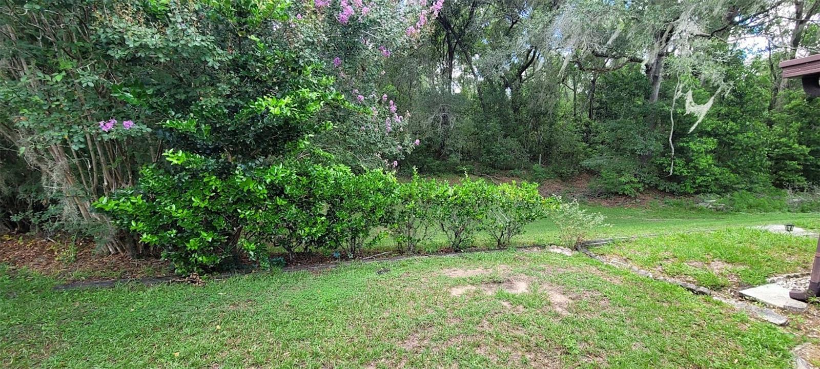 Image 17 of 19 For 537 Crossleaf Lane