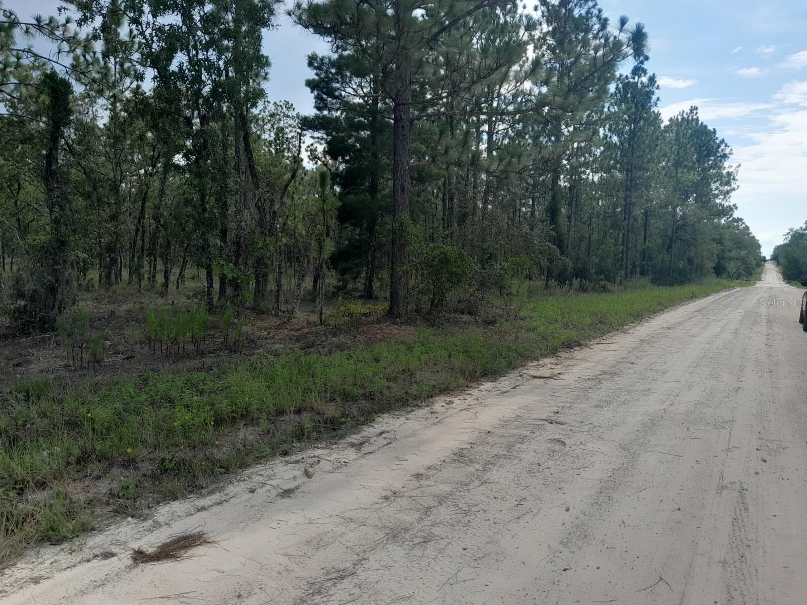 Details for Tbd 4th Street, WILLISTON, FL 32696