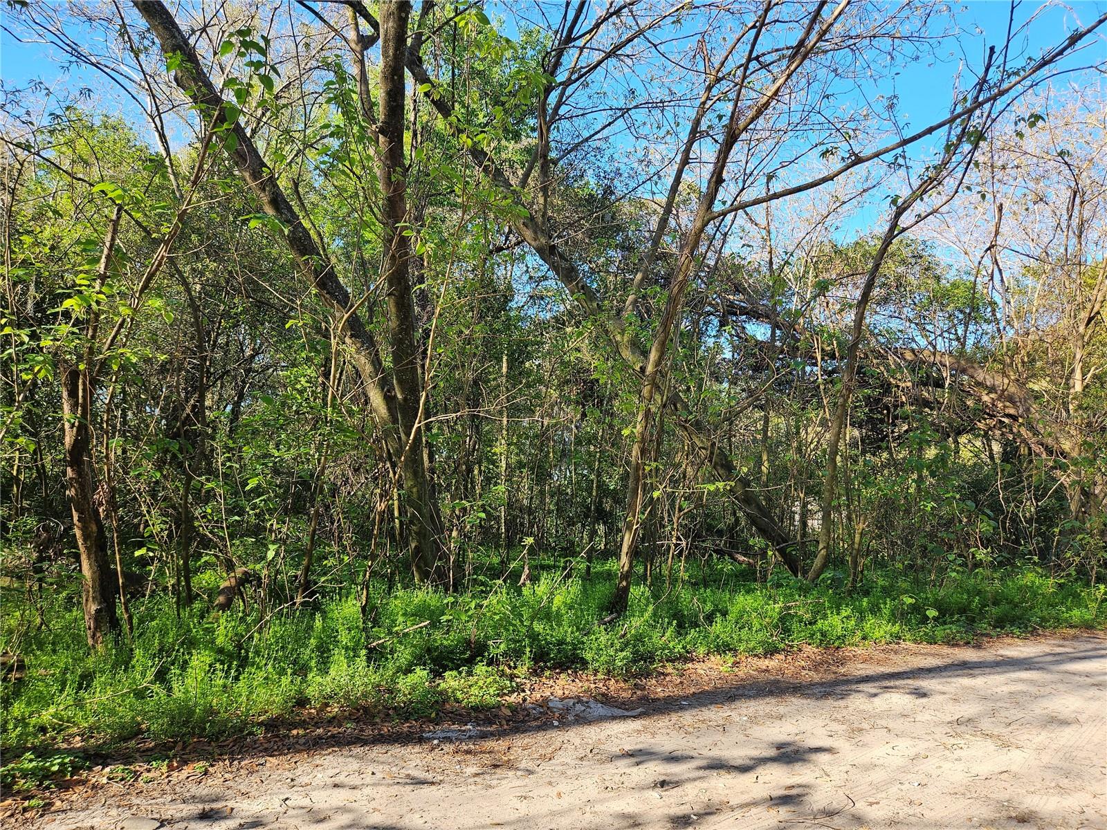 Image 4 of 9 For 10160 49th Court