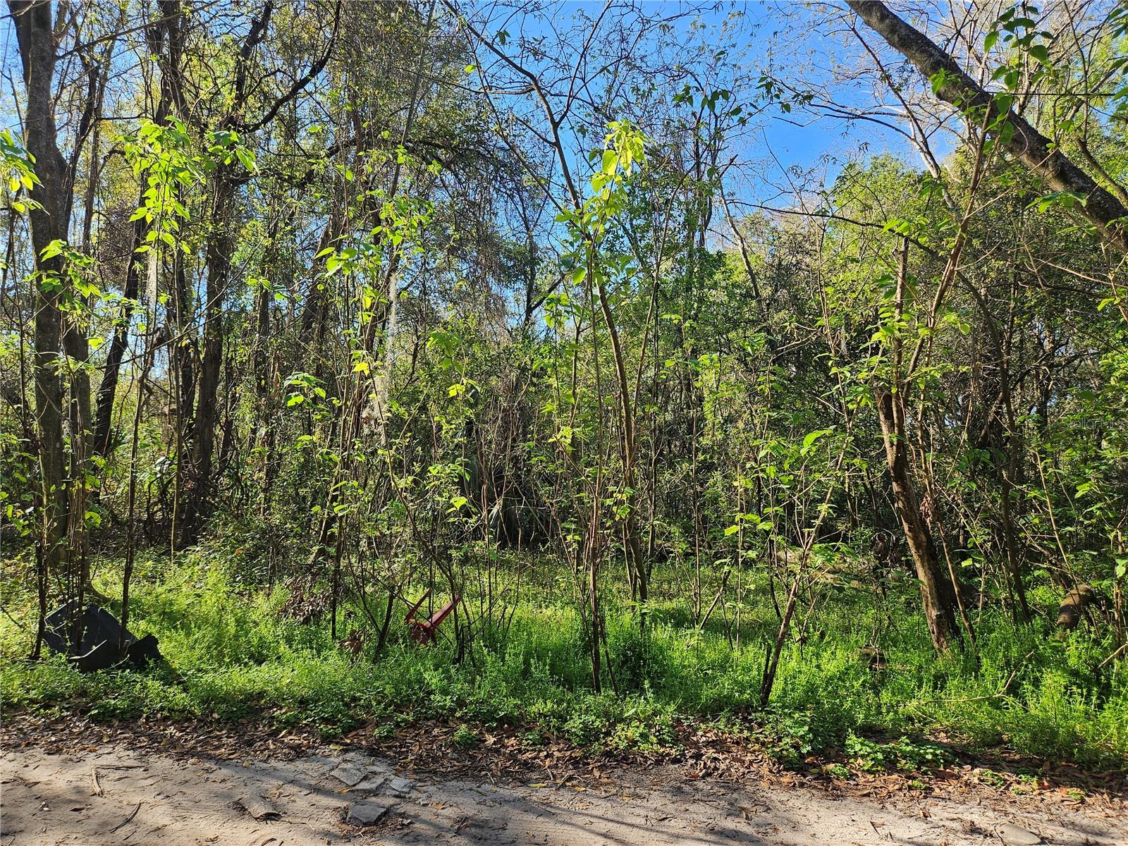 Image 5 of 9 For 10160 49th Court