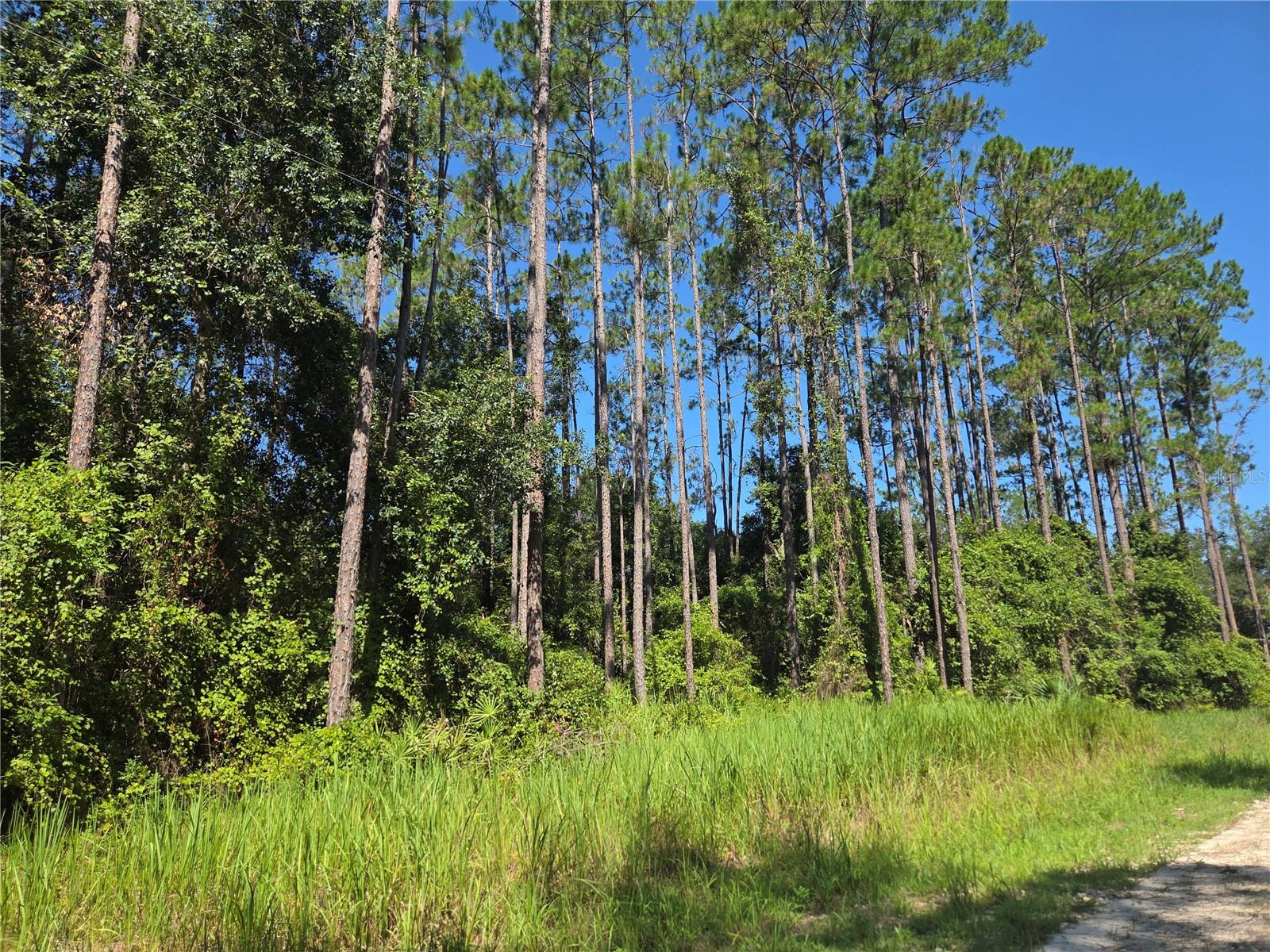 Image 2 of 12 For Tbd 130th Court Rd