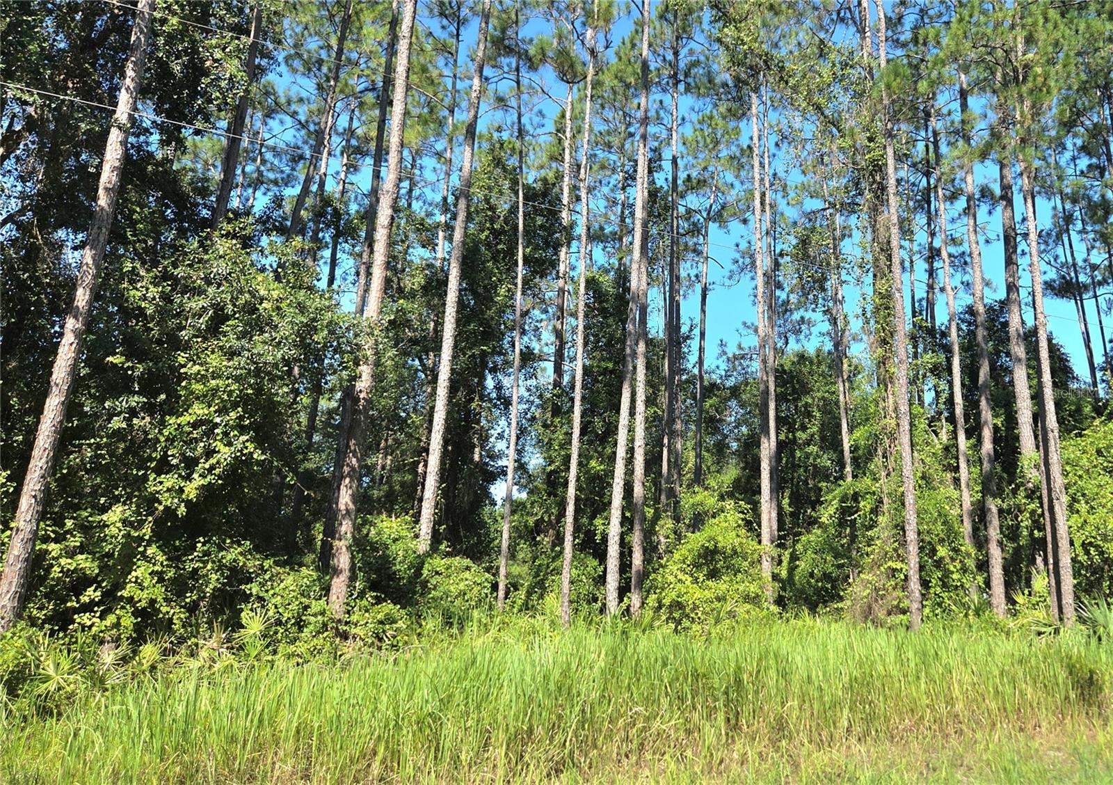 Image 3 of 12 For Tbd 130th Court Rd