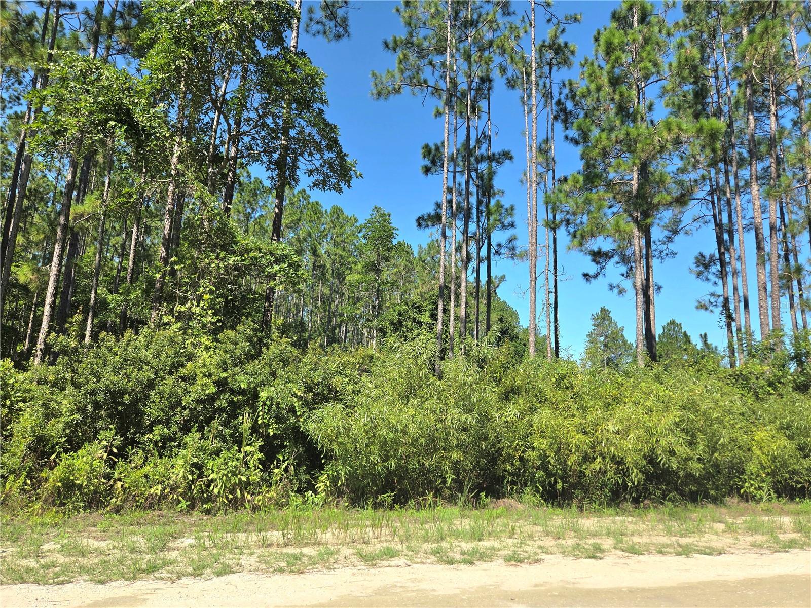 Image 4 of 12 For Tbd 130th Court Rd