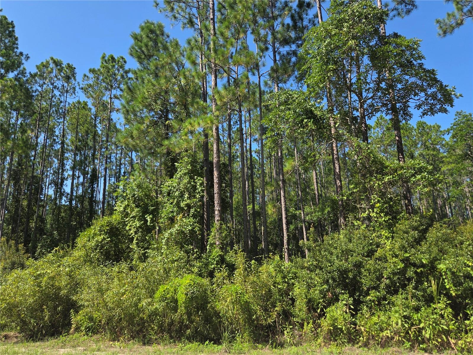 Image 5 of 12 For Tbd 130th Court Rd