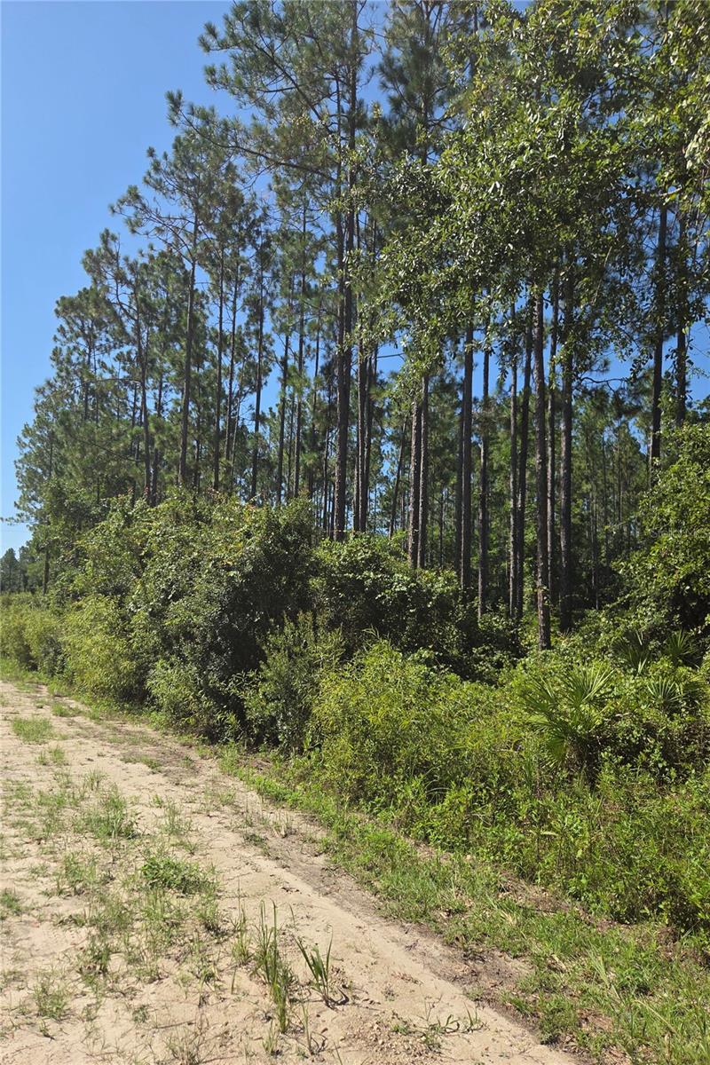 Image 6 of 12 For Tbd 130th Court Rd