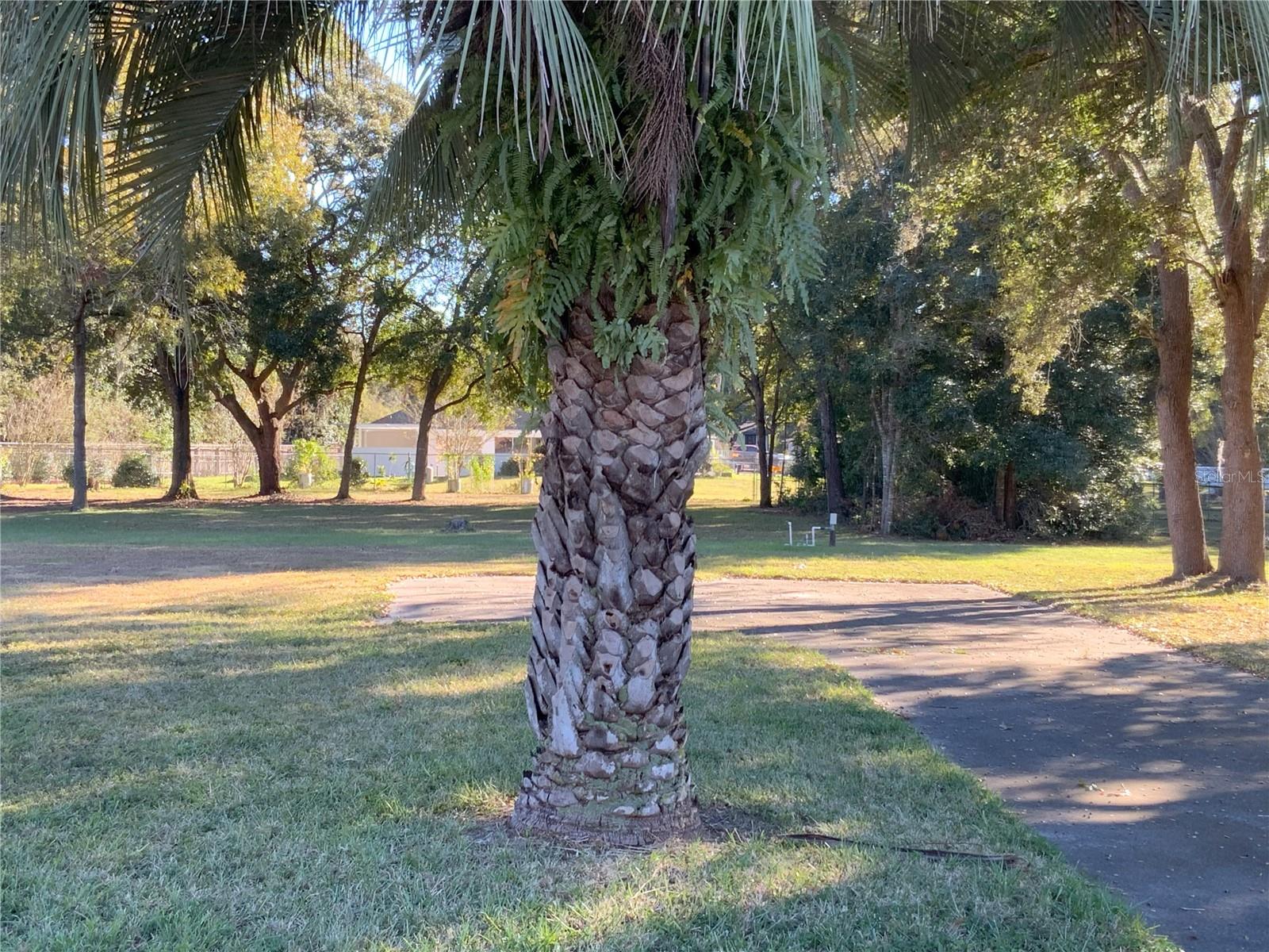 Image 6 of 8 For 6002 108th Street