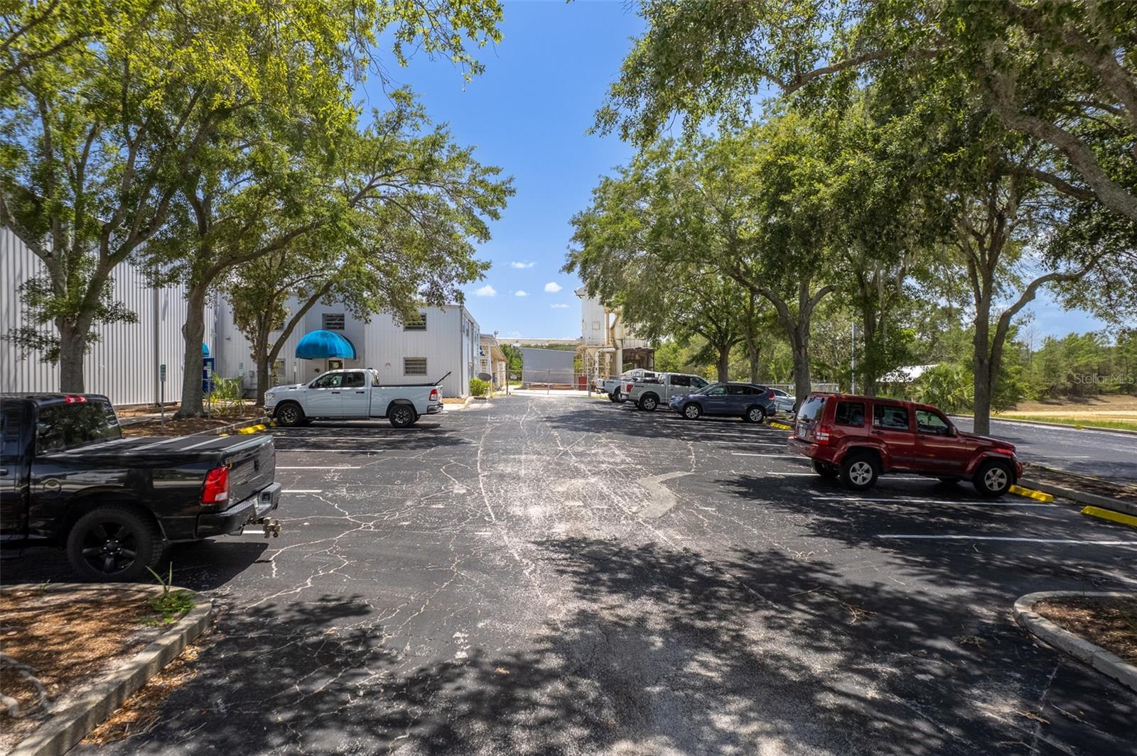 Image 9 of 99 For 310 Cypress Road