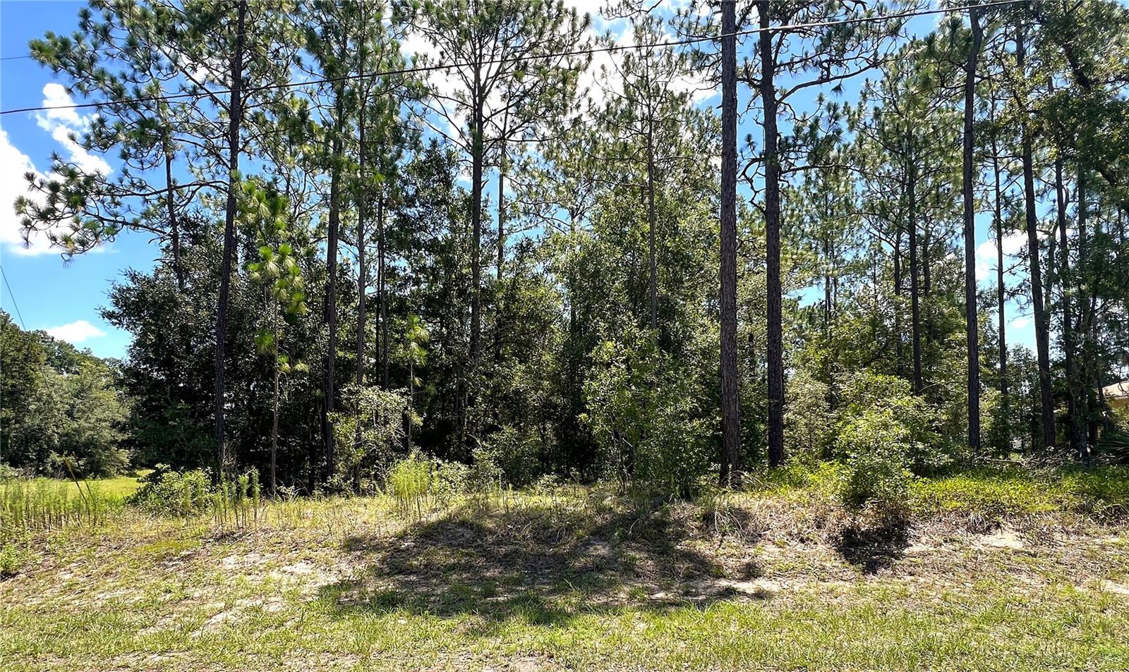 Details for 0000 68 Loop Loop, DUNNELLON, FL 34432
