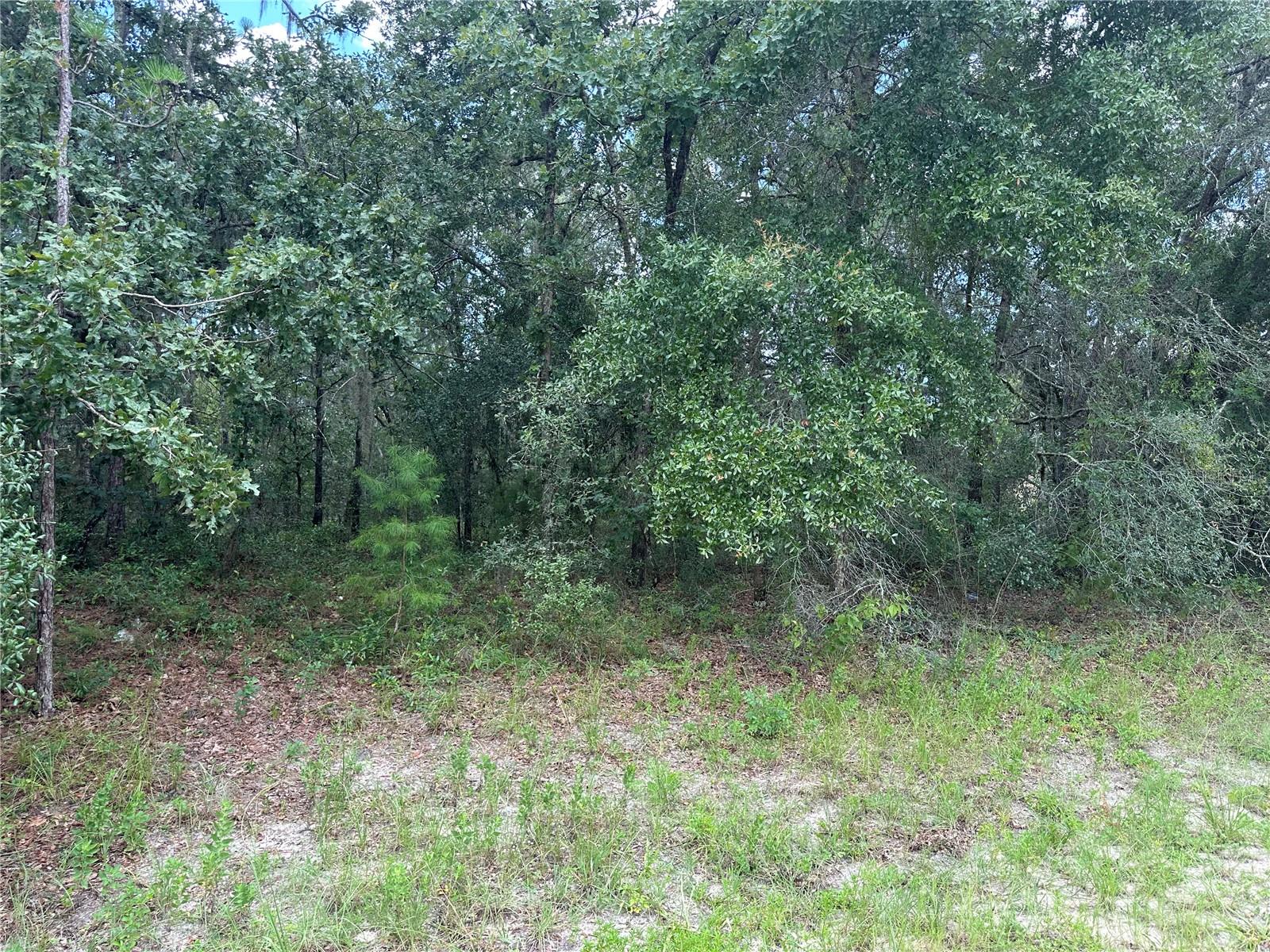 Image 4 of 4 For Tbd 144th St Rd