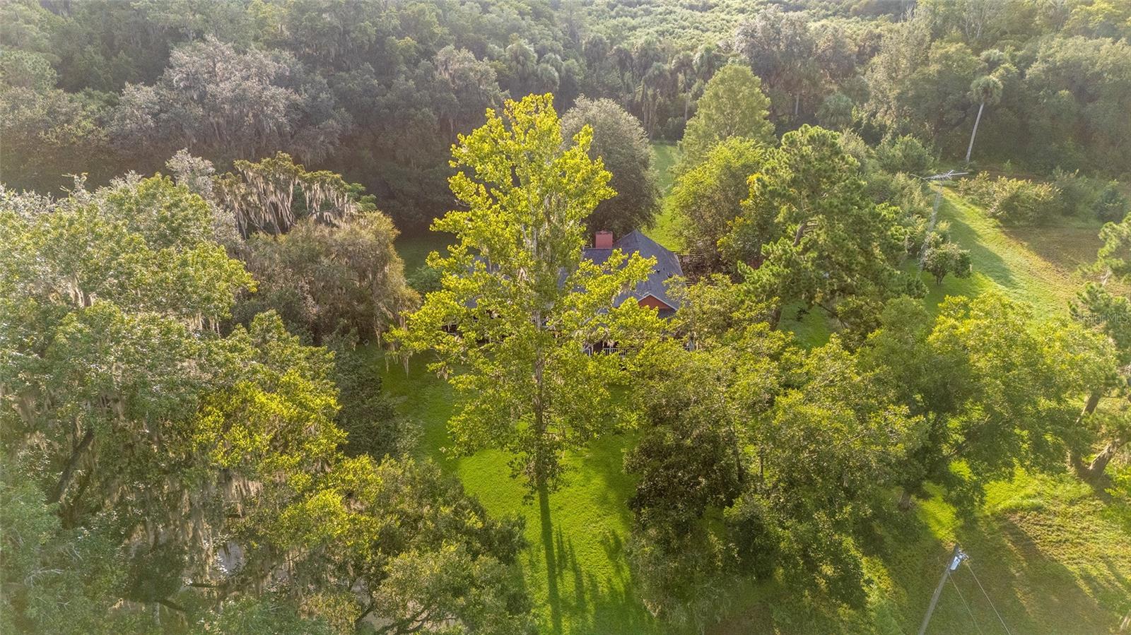 Image 80 of 96 For 22157 87th Avenue Road