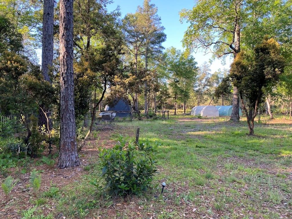 Image 14 of 21 For 117 Doby Road