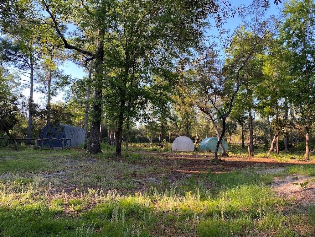 Image 6 of 21 For 117 Doby Road