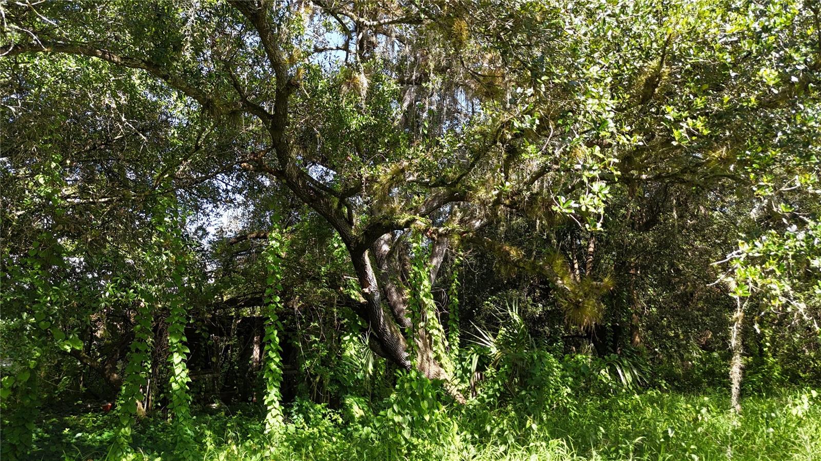 Image 30 of 32 For 3435 Whidden Loop Road