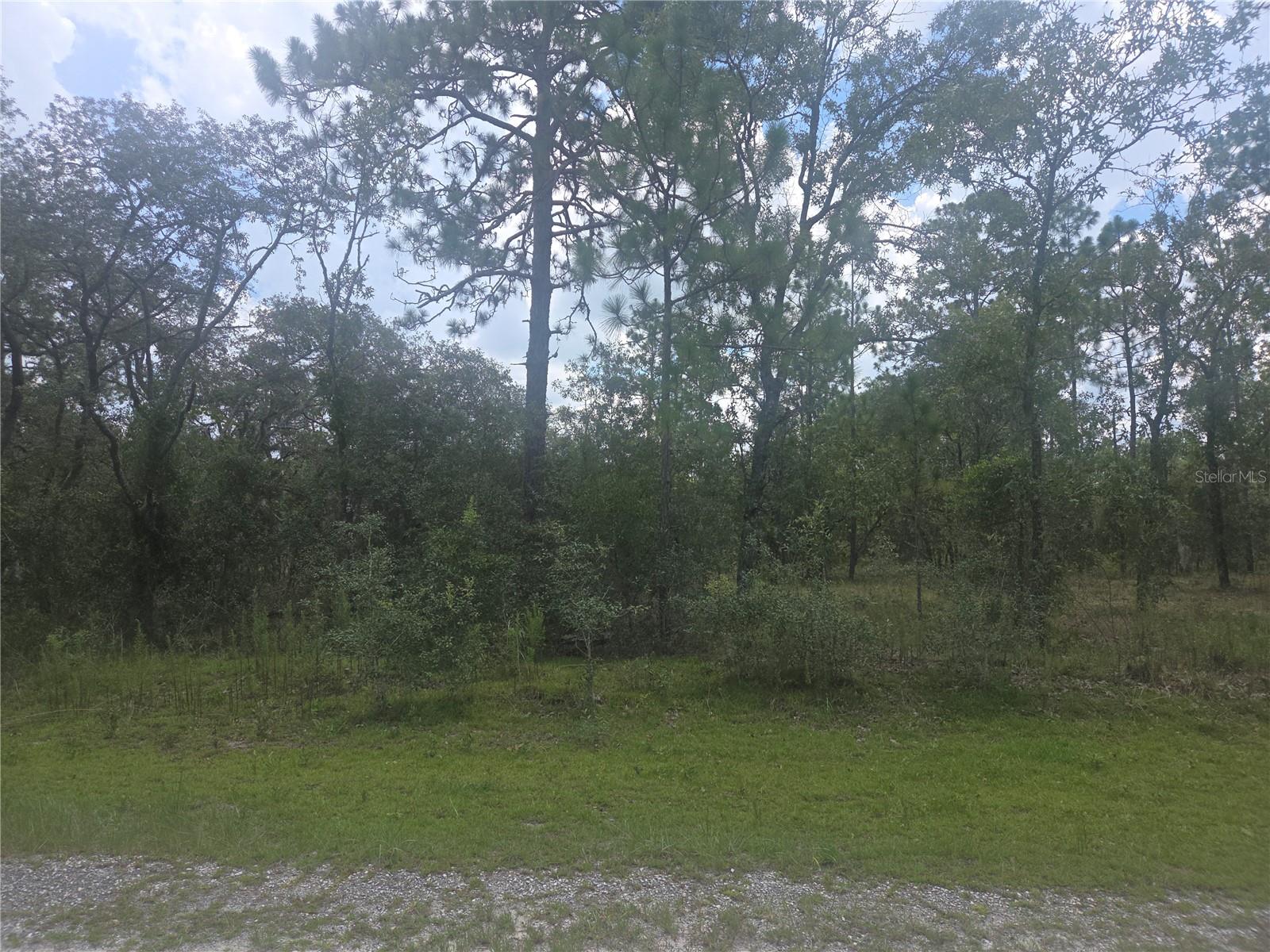 Details for Lot 3 129 Court, DUNNELLON, FL 34431