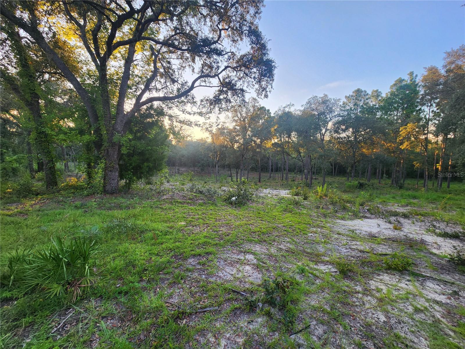 Details for Tbd 82nd Place, BRONSON, FL 32621
