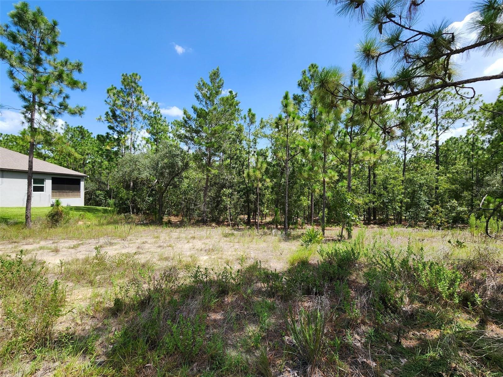 Listing photo id 0 for 21 Whitewood Street