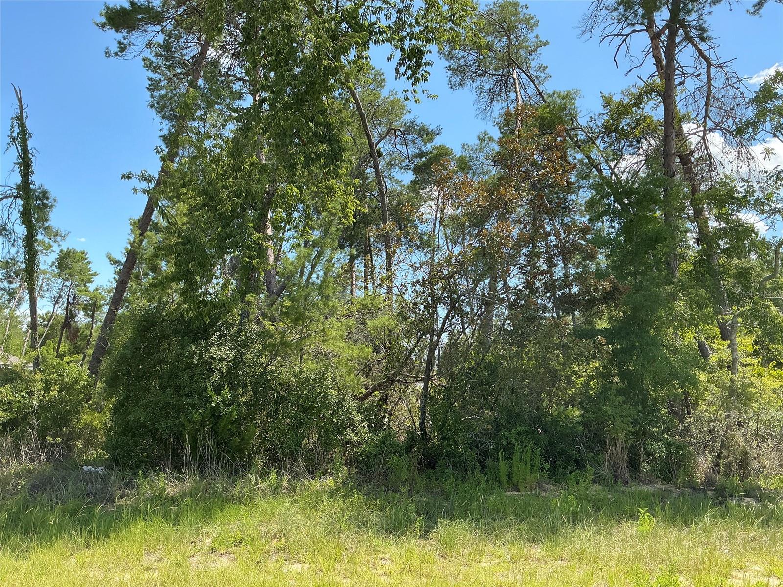 Details for 21st Terrace, OCALA, FL 34473