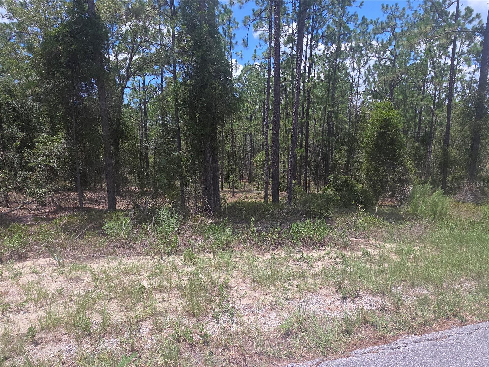 Details for Lot 34 128 Avenue, DUNNELLON, FL 34431