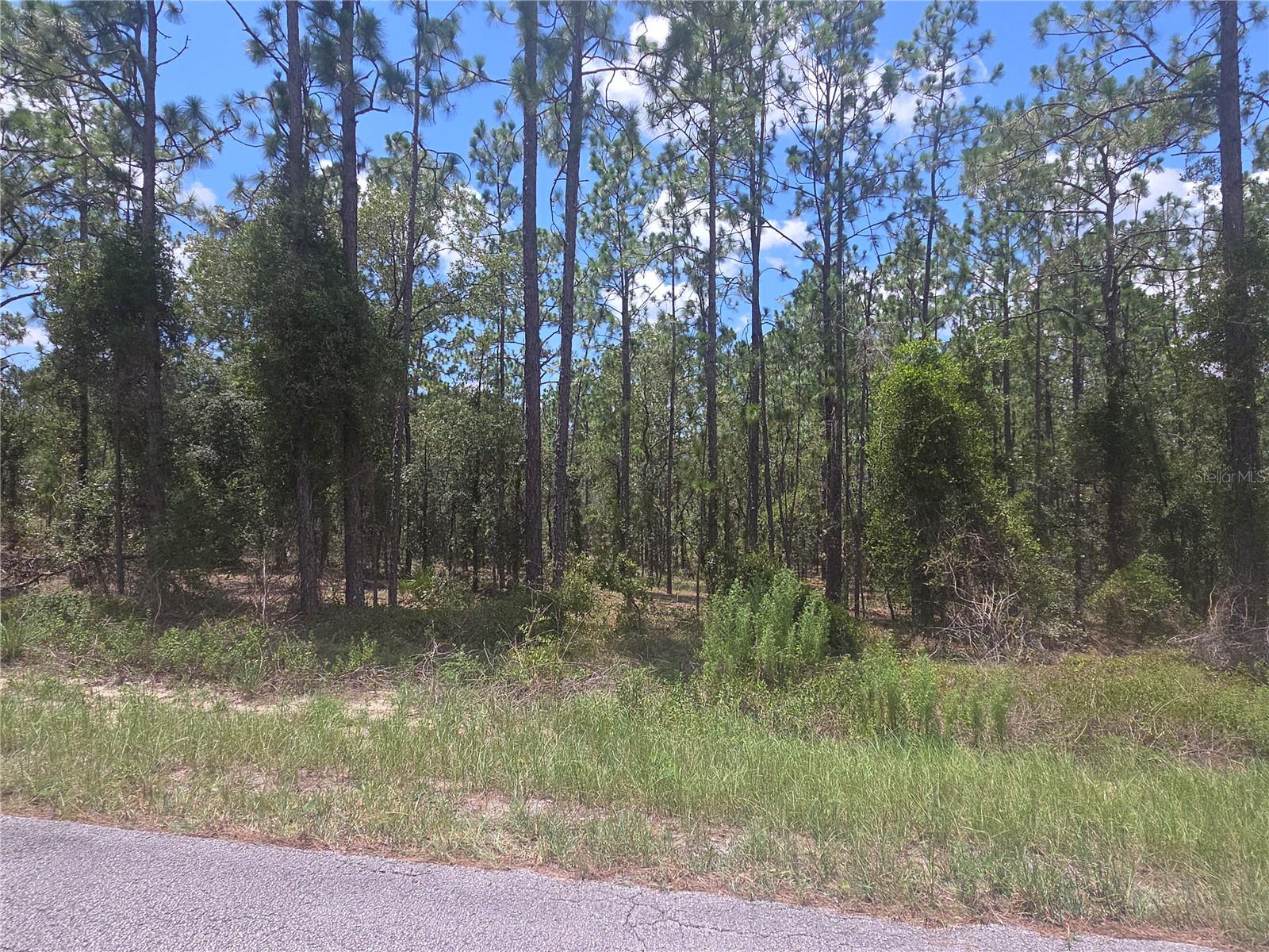 Image 3 of 24 For Lot 34 128 Avenue