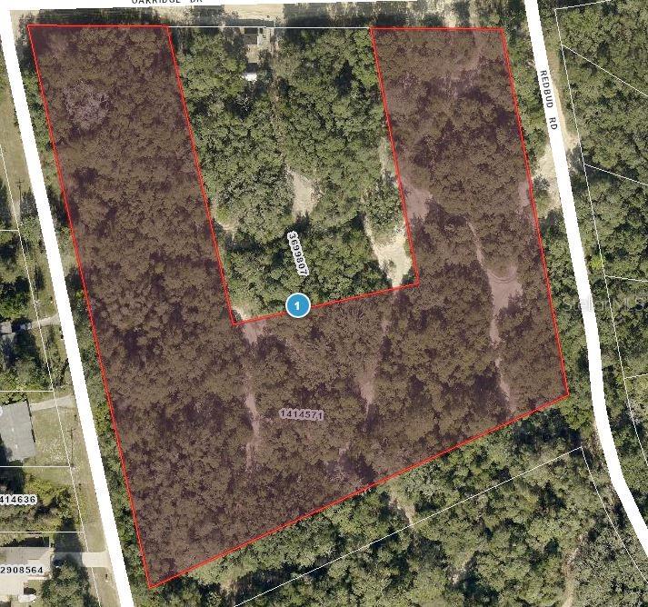 Listing Details for Tbd Magnolia Street, LADY LAKE, FL 32159