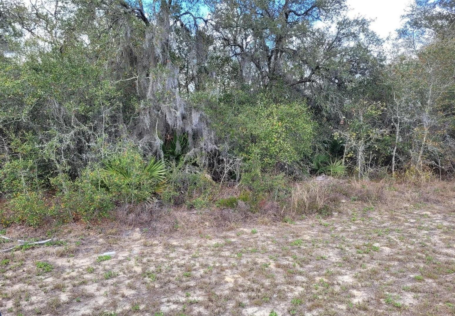 Image 2 of 4 For Tbd 100 Street