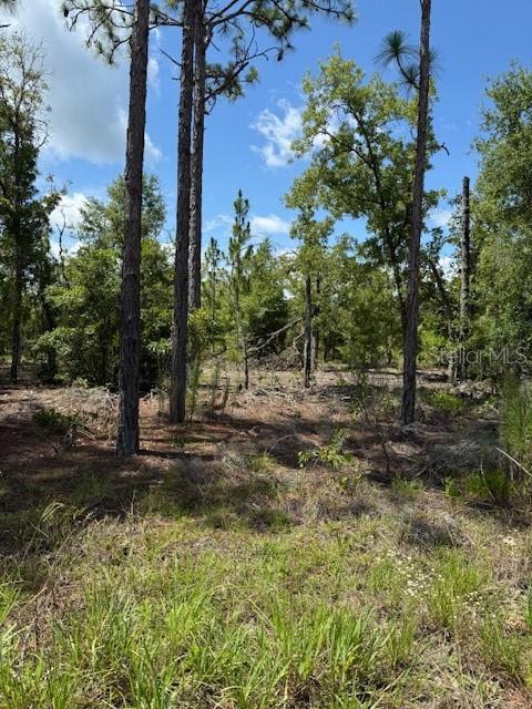 Details for 115 Dakota Street, HAWTHORNE, FL 32640