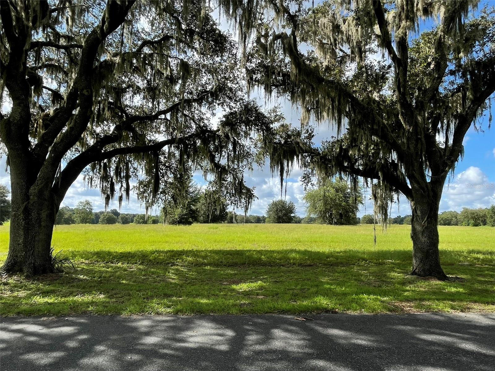 Details for Tbd 116th Place Road, OCALA, FL 34480