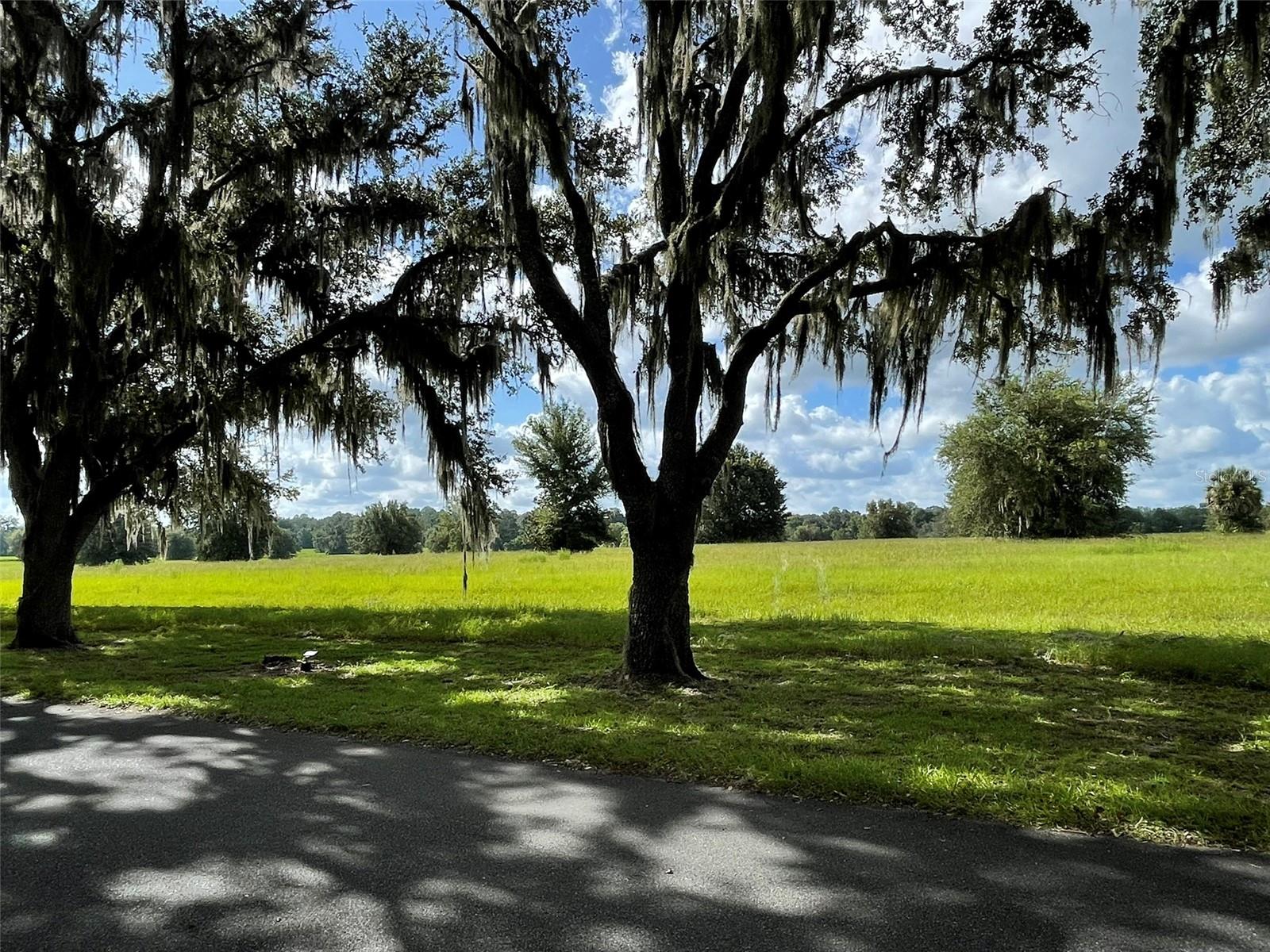 Image 3 of 8 For Tbd 116th Place Road