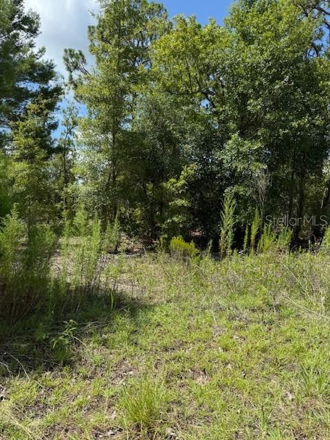 Details for 113 Dakota Street, HAWTHORNE, FL 32640