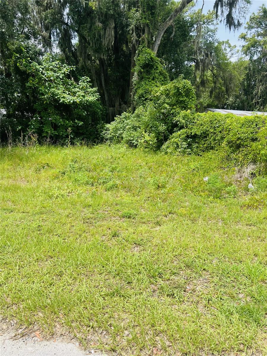 Listing Details for 2360 10th Street, OCALA, FL 34475