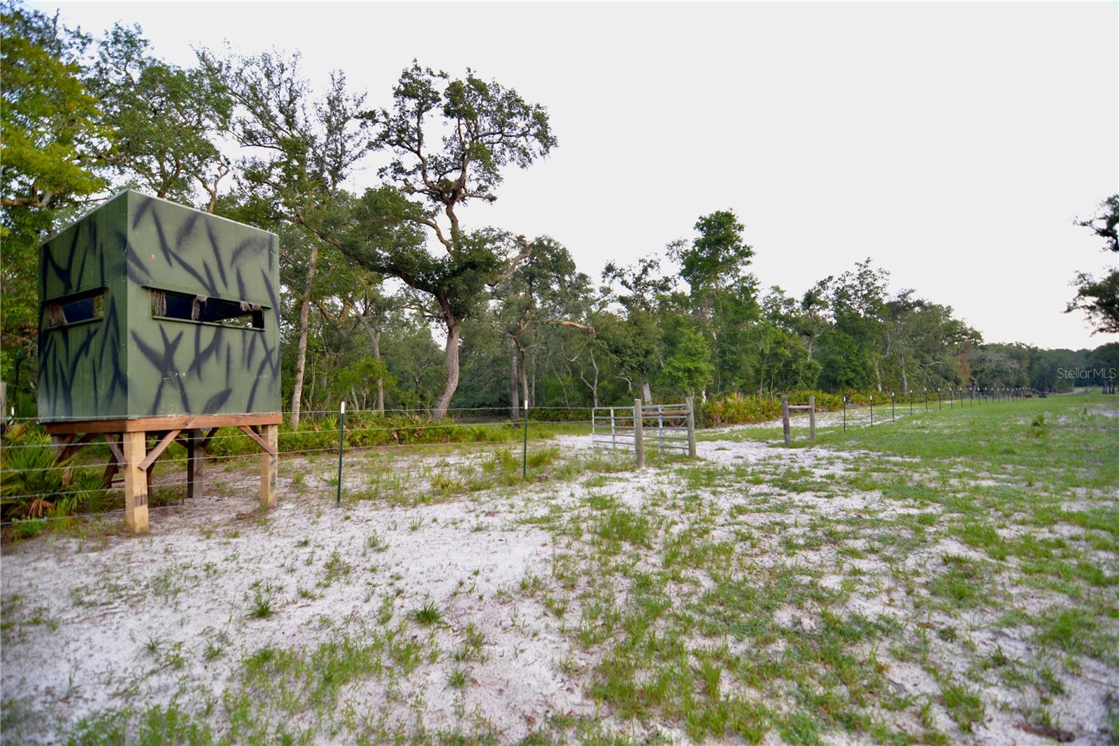 Image 11 of 66 For 2669 Suwannee Valley Road