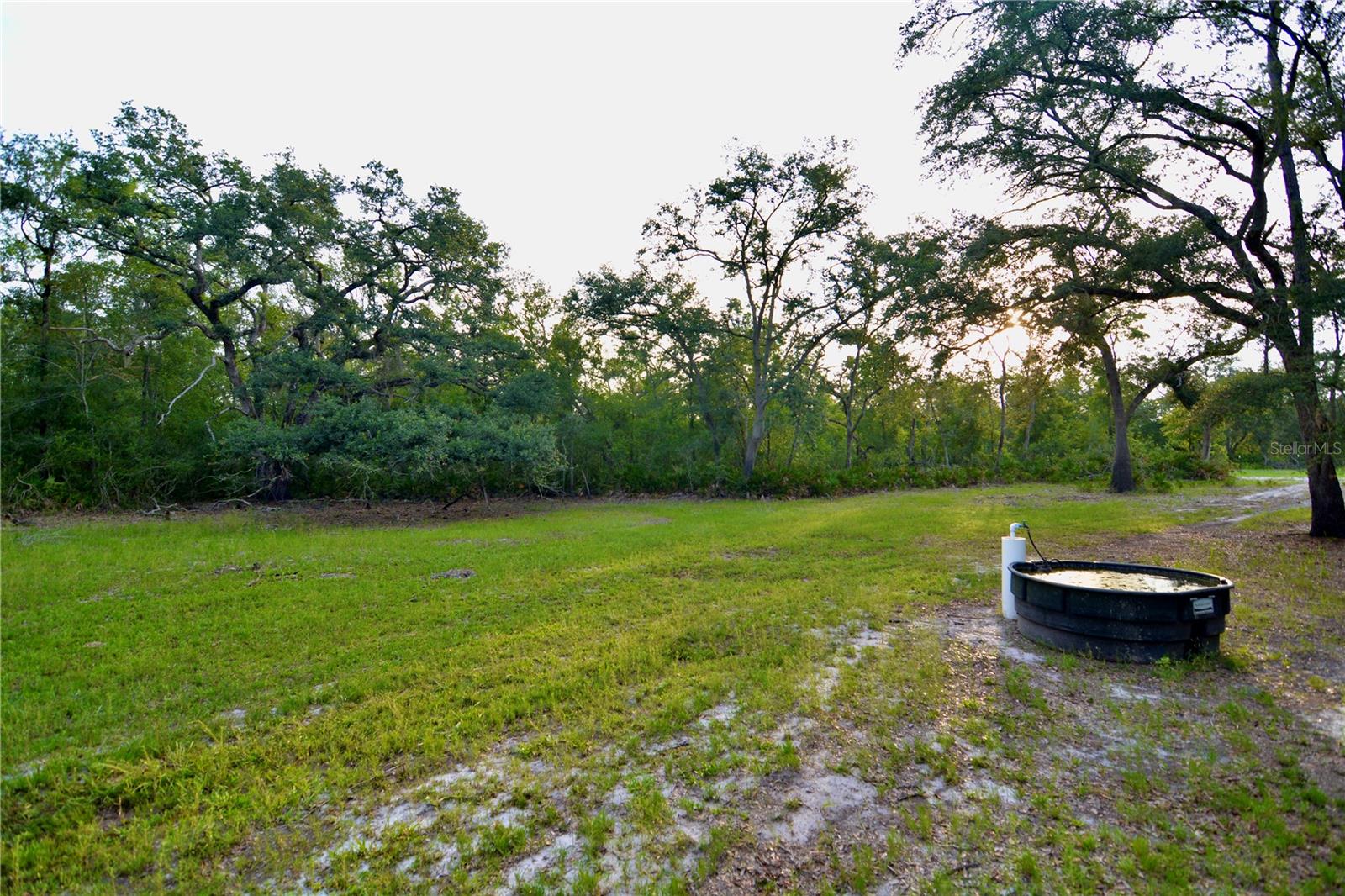 Image 12 of 66 For 2669 Suwannee Valley Road