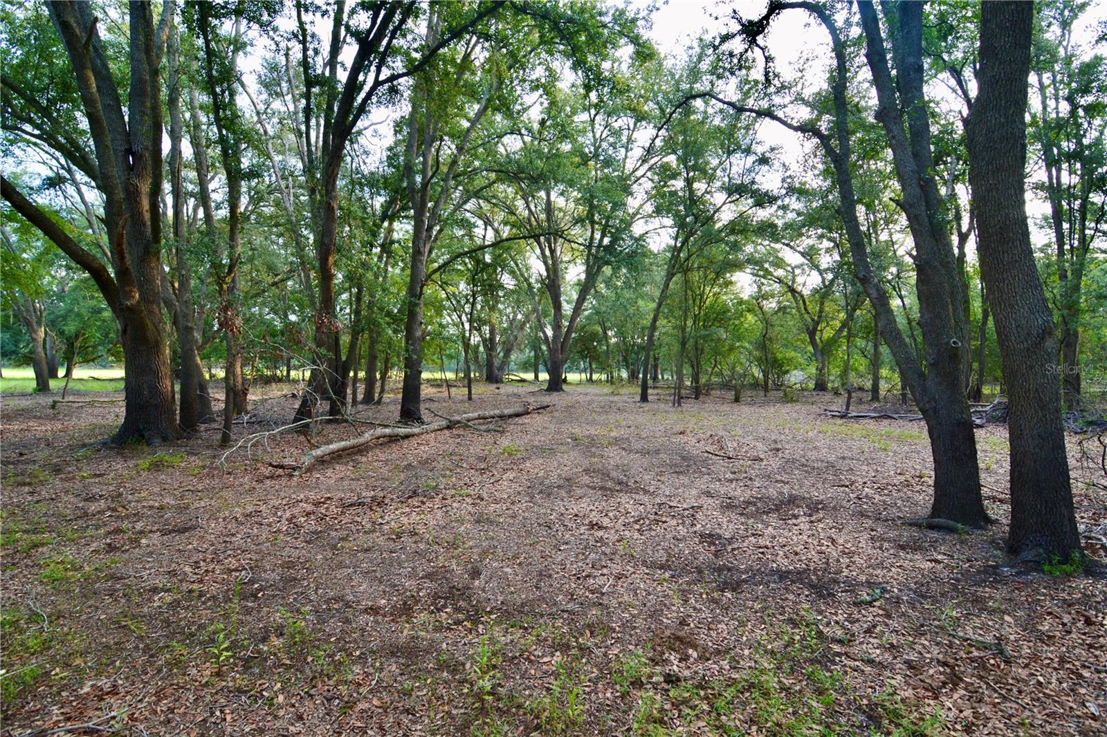 Image 15 of 66 For 2669 Suwannee Valley Road