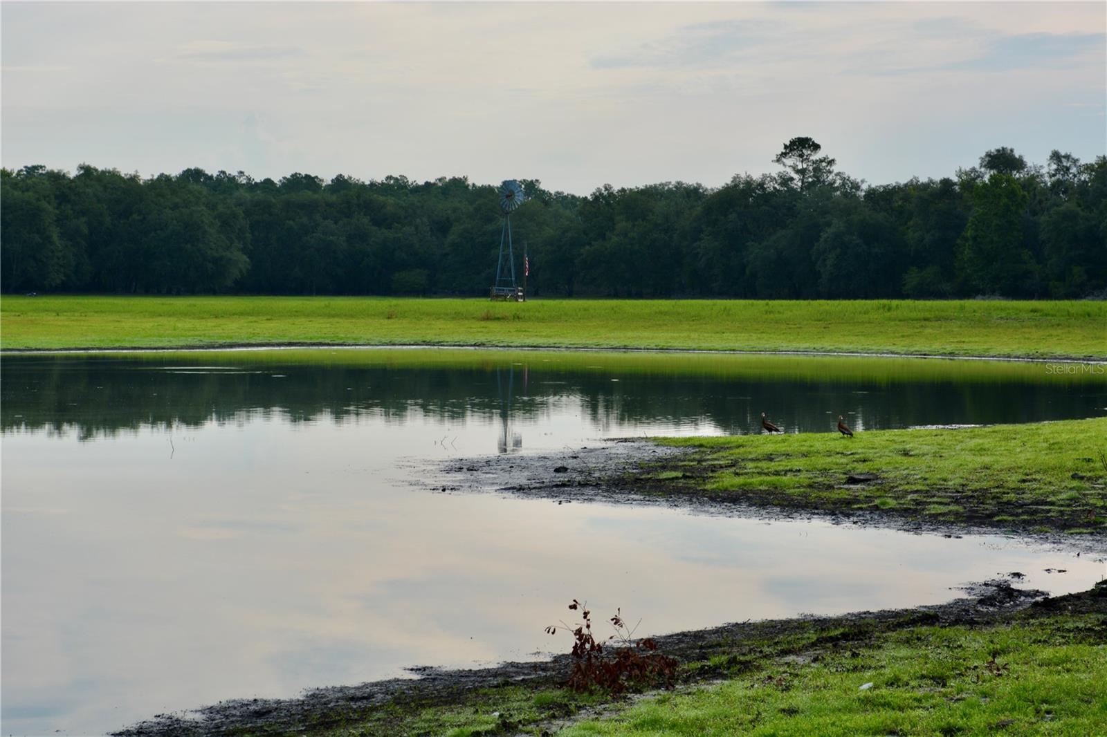 Image 20 of 66 For 2669 Suwannee Valley Road