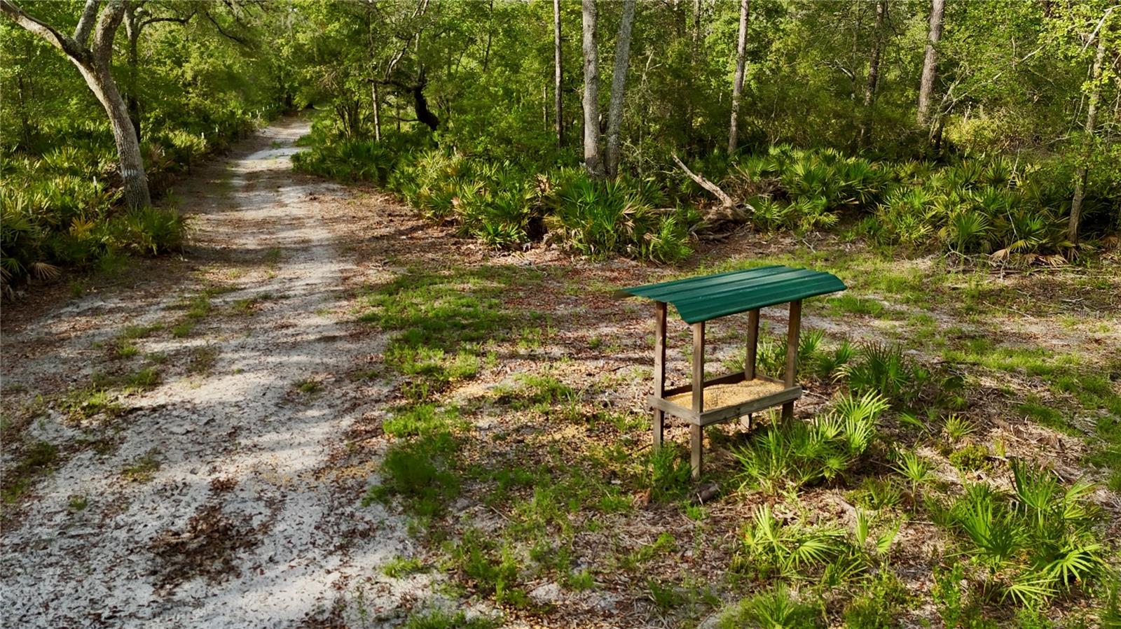 Image 24 of 66 For 2669 Suwannee Valley Road