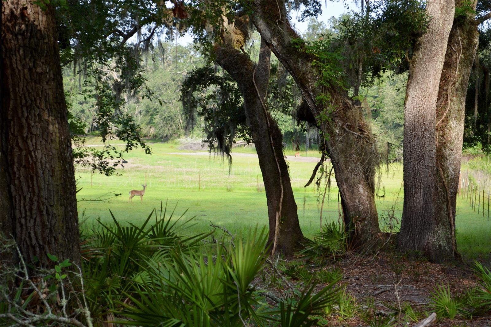 Image 25 of 66 For 2669 Suwannee Valley Road