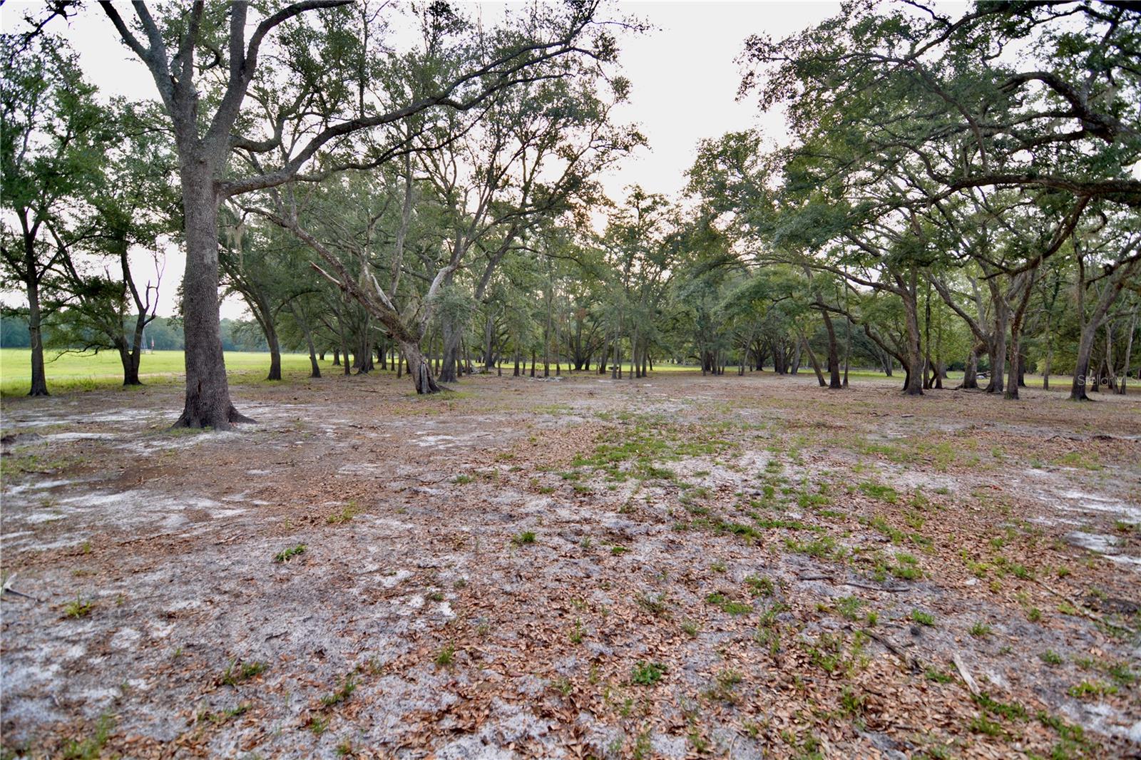 Image 26 of 66 For 2669 Suwannee Valley Road