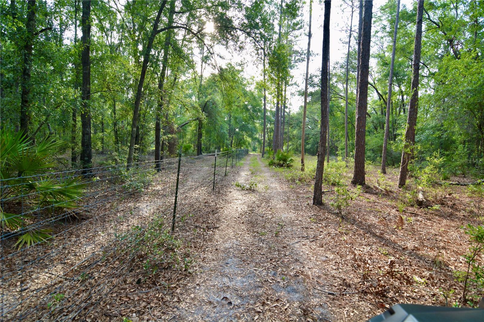 Image 30 of 66 For 2669 Suwannee Valley Road