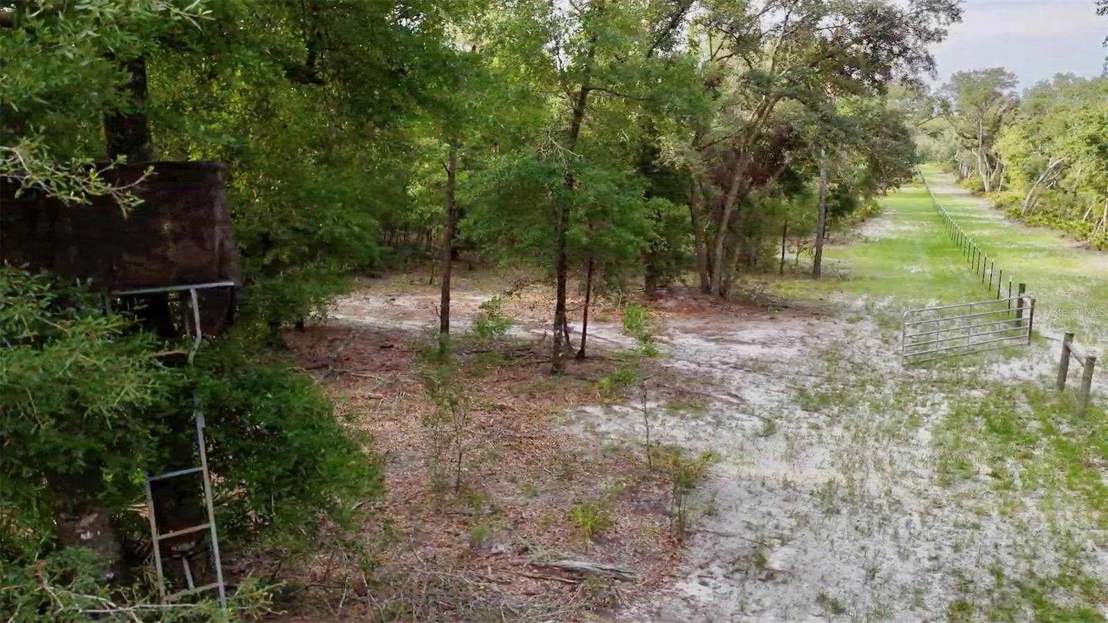 Image 50 of 66 For 2669 Suwannee Valley Road