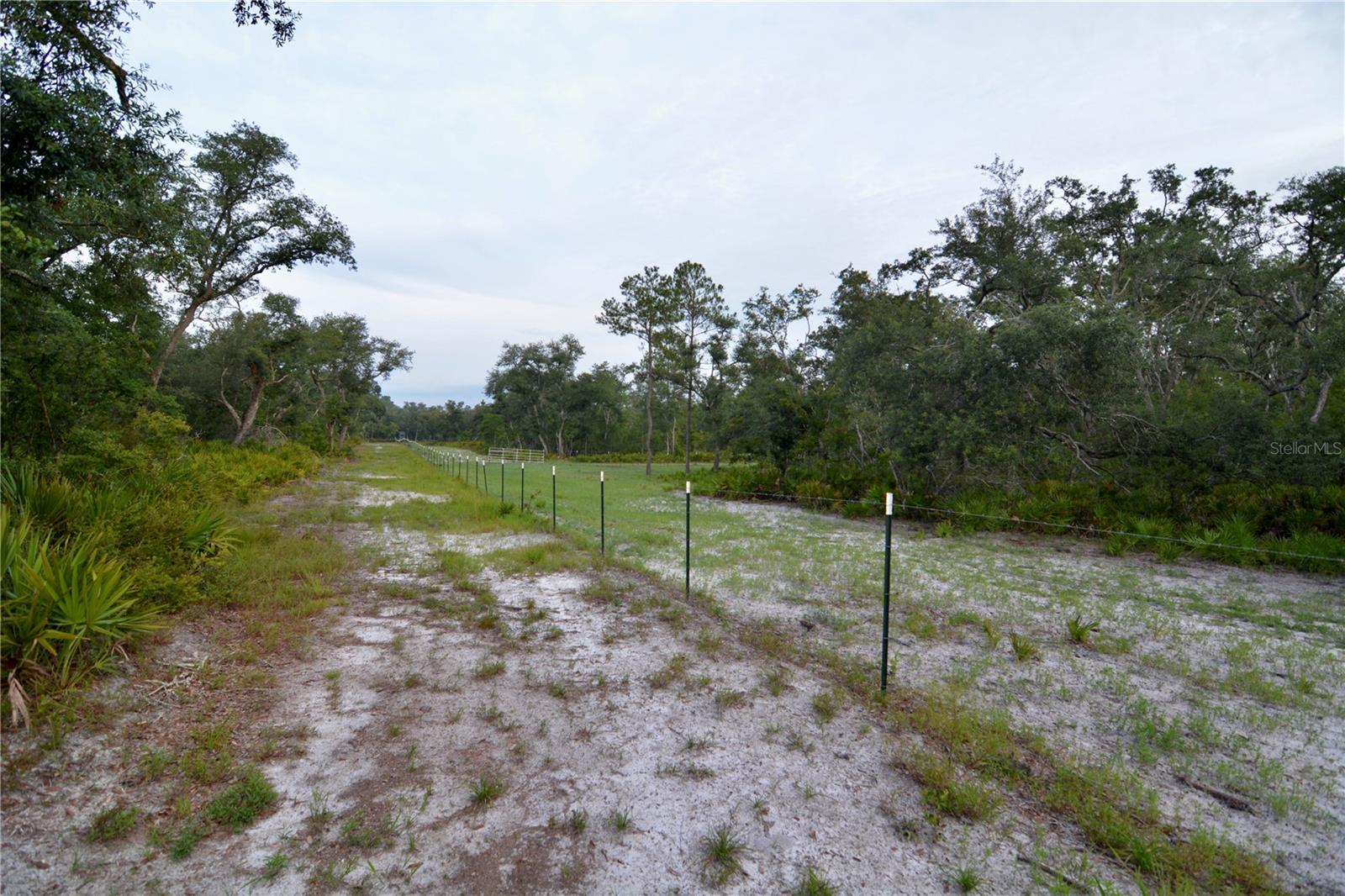 Image 6 of 66 For 2669 Suwannee Valley Road