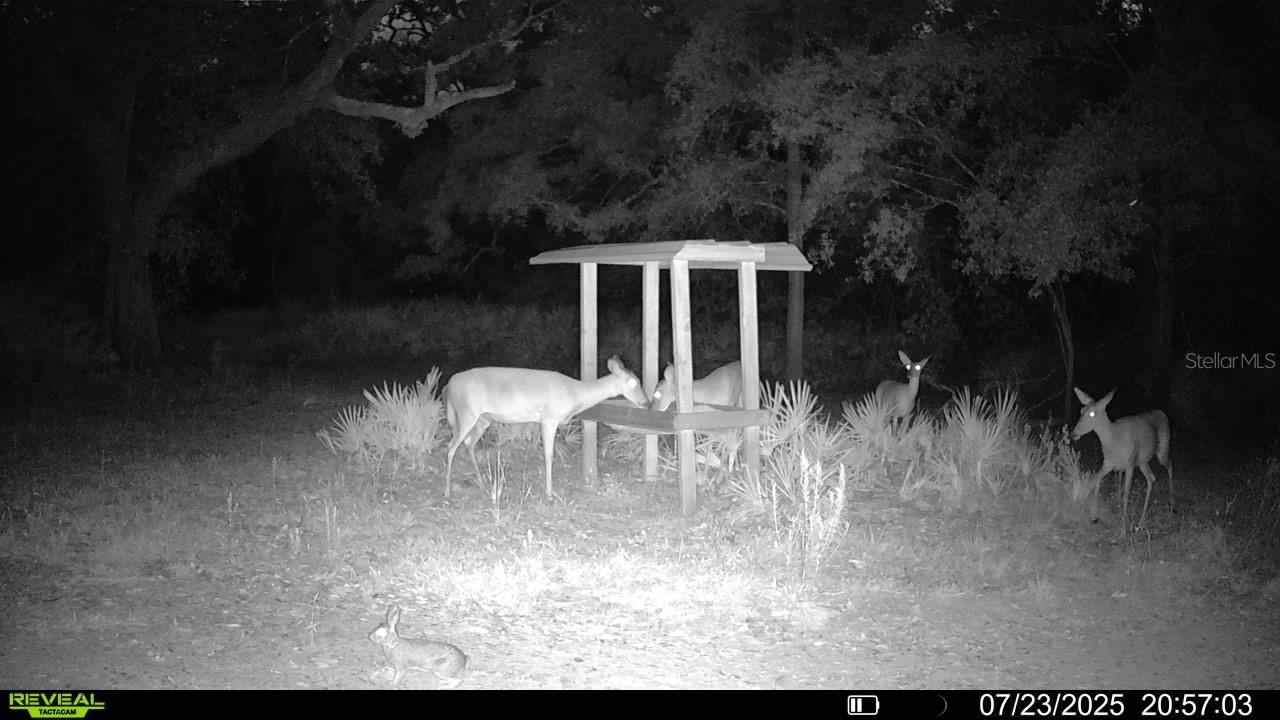 Image 61 of 66 For 2669 Suwannee Valley Road