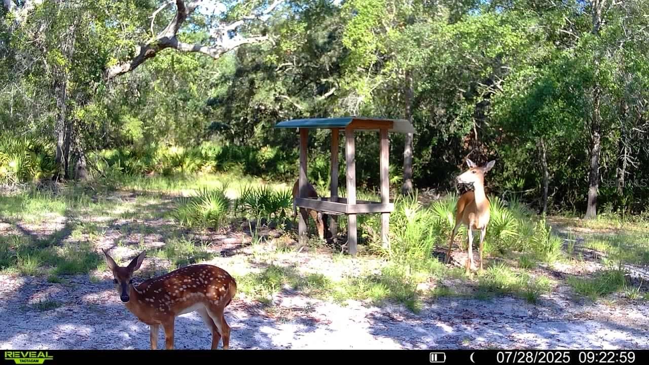 Image 62 of 66 For 2669 Suwannee Valley Road