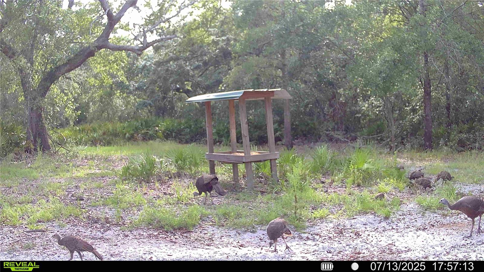 Image 65 of 66 For 2669 Suwannee Valley Road