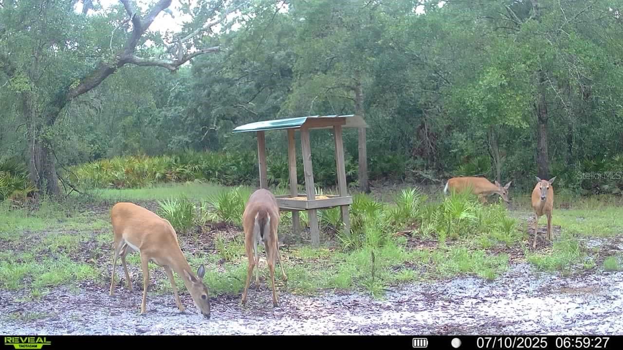 Image 66 of 66 For 2669 Suwannee Valley Road