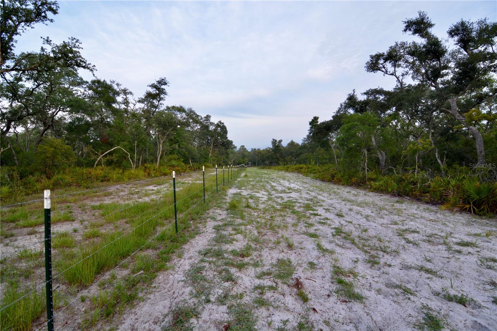 Image 9 of 66 For 2669 Suwannee Valley Road