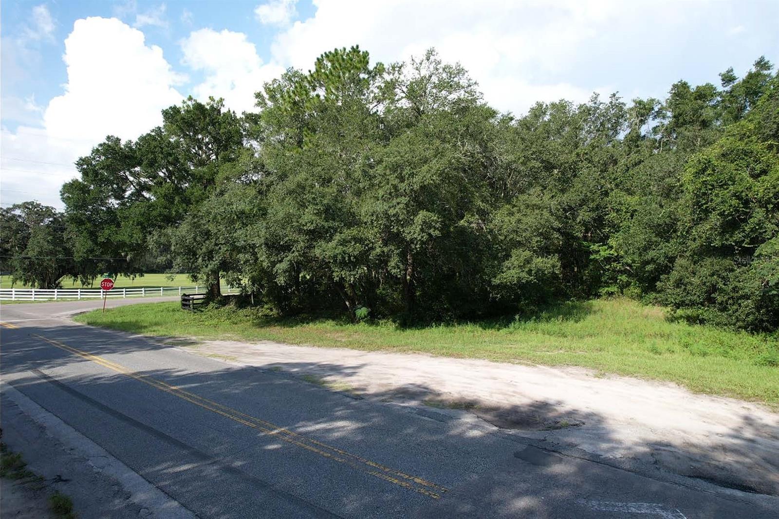 Image 4 of 8 For Tbd Sw Hwy 484